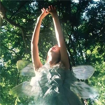 梦幻成真