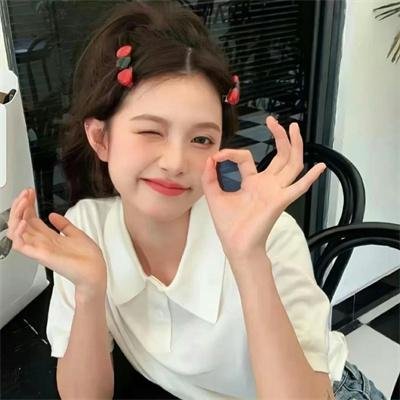 凤舞龙翔